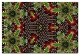 the kaleidoscope of life print The Kaleidoscope Of Life 00085