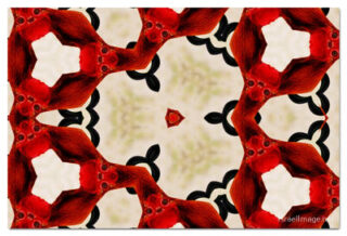 the kaleidoscope of life print The Kaleidoscope Of Life 00086