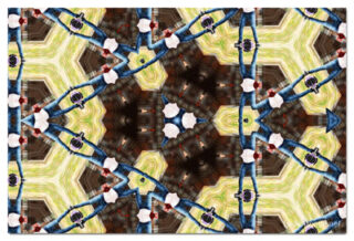 the kaleidoscope of life print The Kaleidoscope Of Life 00087