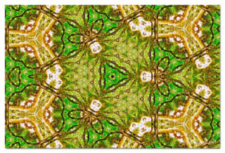 the kaleidoscope of life print The Kaleidoscope Of Life 00095