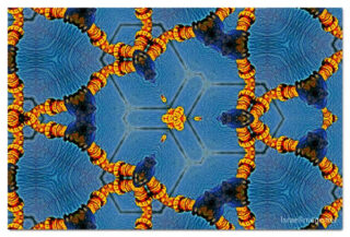 the kaleidoscope of life print The Kaleidoscope Of Life 00097