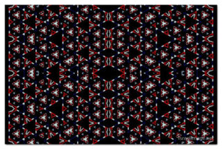 the kaleidoscope of life print The Kaleidoscope Of Life 00100