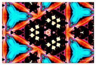 the kaleidoscope of life print The Kaleidoscope Of Life 00104
