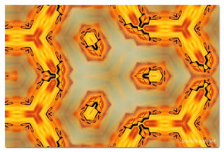 the kaleidoscope of life print The Kaleidoscope Of Life 00106