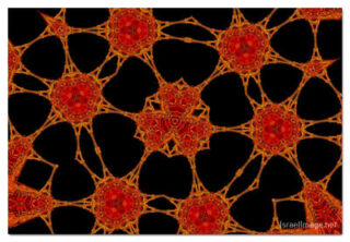 the kaleidoscope of life print The Kaleidoscope Of Life 00107