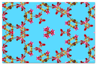 the kaleidoscope of life print The Kaleidoscope Of Life 00108