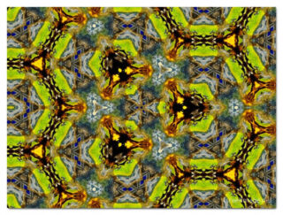 the kaleidoscope of life print The Kaleidoscope Of Life 00111