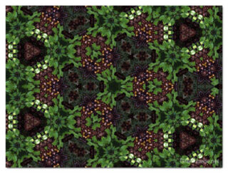 the kaleidoscope of life print The Kaleidoscope Of Life 00112