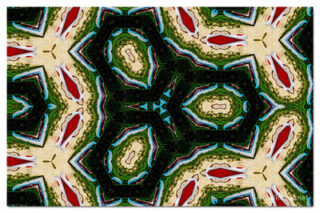 the kaleidoscope of life print The Kaleidoscope Of Life 00116