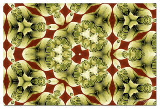 the kaleidoscope of life print The Kaleidoscope Of Life 00121