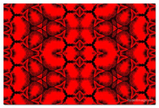 the kaleidoscope of life print The Kaleidoscope Of Life 00122