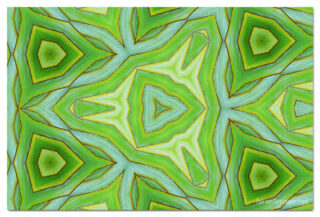 the kaleidoscope of life print The Kaleidoscope Of Life 00127