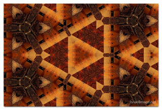 the kaleidoscope of life print The Kaleidoscope Of Life 00138