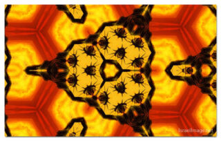 the kaleidoscope of life print The Kaleidoscope Of Life 00151