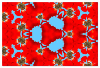 the kaleidoscope of life print The Kaleidoscope Of Life 00152