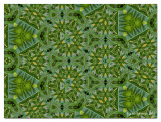 the kaleidoscope of life print The Kaleidoscope Of Life 00153