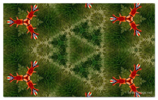 the kaleidoscope of life print The Kaleidoscope Of Life 00160