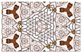 The Kaleidoscope Of Life 00162