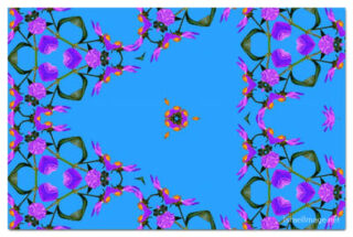 The Kaleidoscope Of Life 00165