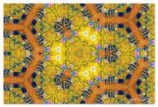 The Kaleidoscope Of Life 00168