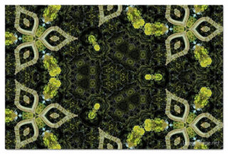 The Kaleidoscope Of Life 00170