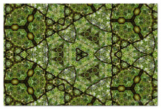 The Kaleidoscope Of Life 00179