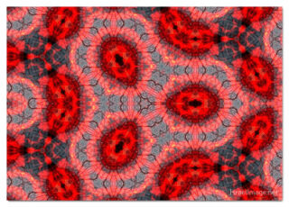 The Kaleidoscope Of Life 00181