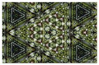 The Kaleidoscope Of Life 00183