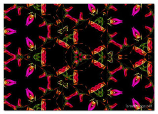 The Kaleidoscope Of Life 00184