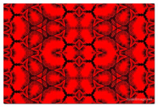 The Kaleidoscope Of Life 00191