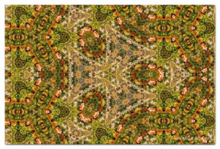 The Kaleidoscope Of Life 00192