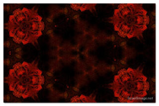 The Kaleidoscope Of Life 00198