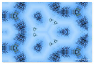 The Kaleidoscope Of Life 00199