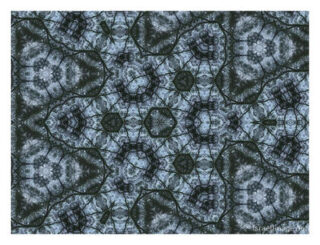 The Kaleidoscope Of Life 00206