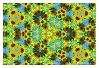 The Kaleidoscope Of Life 00209