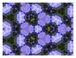 The Kaleidoscope Of Life 00214