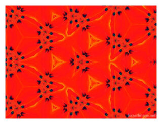 The Kaleidoscope Of Life 00215