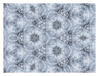 The Kaleidoscope Of Life 00218