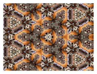 The Kaleidoscope Of Life 00219