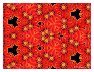 The Kaleidoscope Of Life 00220