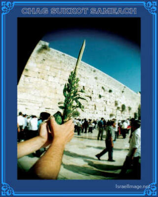 Chag Sukkot Sameach 00056