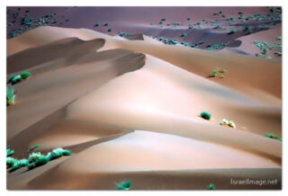 namibia sossusvlei print Namibia Sossusvlei 00029