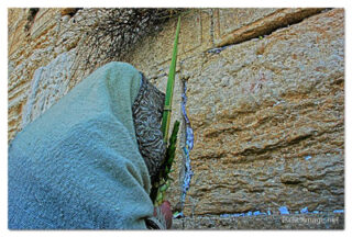 Kotel Sukkot 00074
