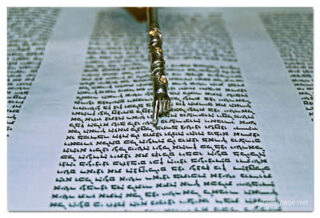 Kotel Torah Praying 00021