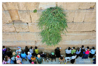 Kotel Women Praying 00009